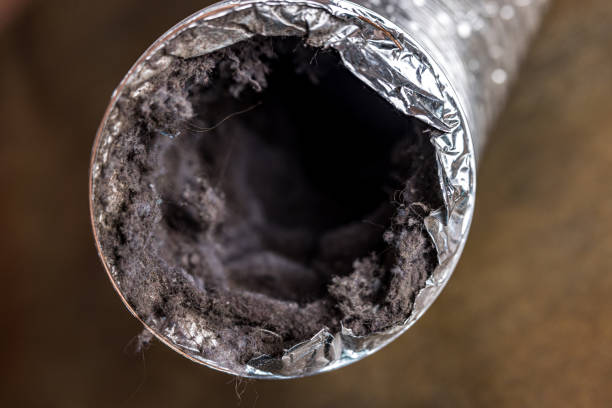 Best Duct Cleaning for Offices  in Ankeny, IA